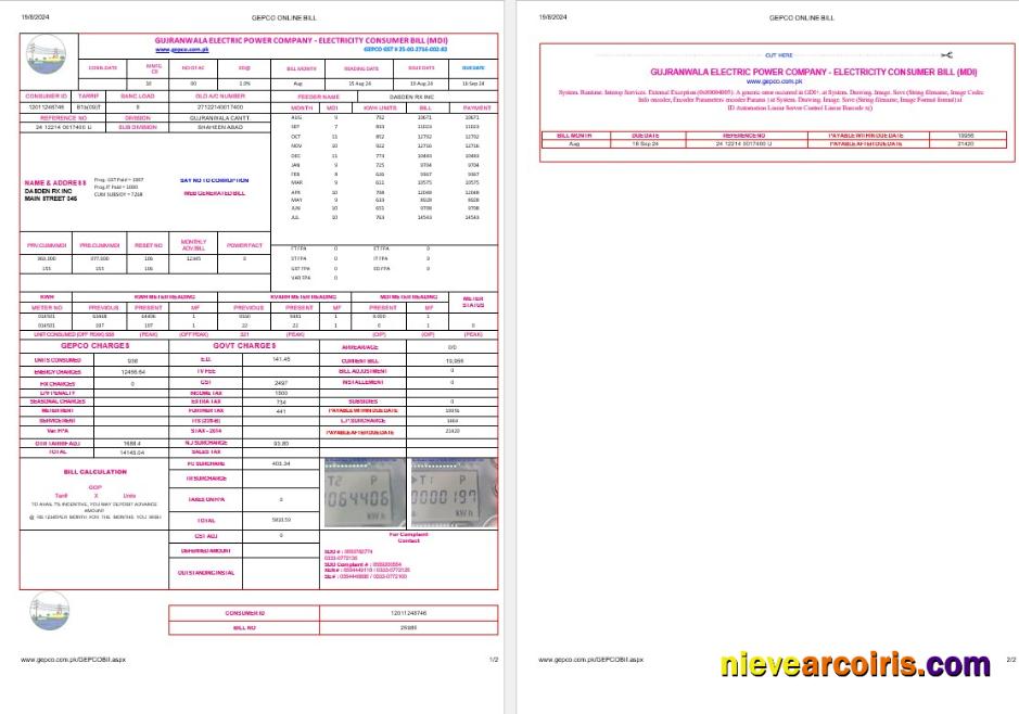 Pakistan Gujanwala electric power company electricity business utility bill, 2 pages